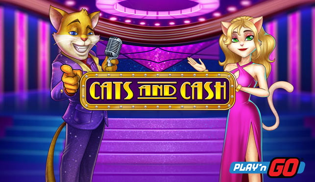 Coloque algum dinheiro no gatinho com Cats and Cash!