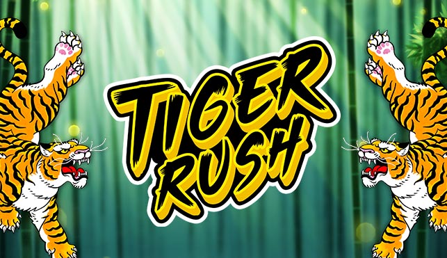 tiger rush thunderkick