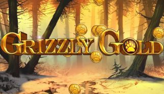grizzly gold blueprint gaming