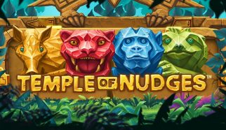 temple of nudges