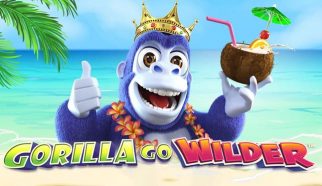 gorilla