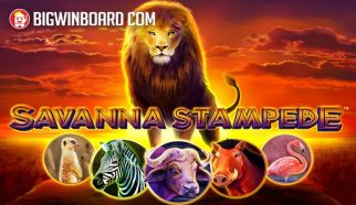 savanna stampede
