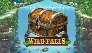 wild falls play n go
