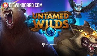 untamed wilds