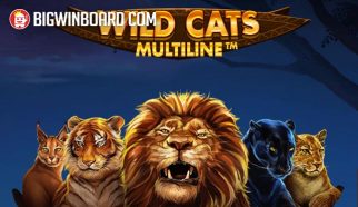 wild cats multiline
