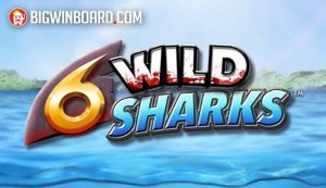 6 wild sharks