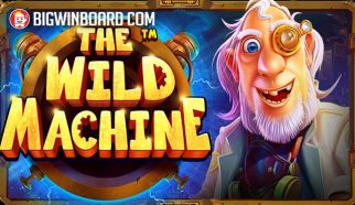 the wild machine