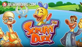 scruffy duck