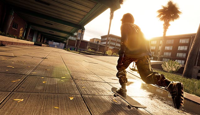 tony hawk