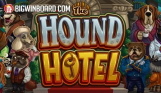 hound hotel slot