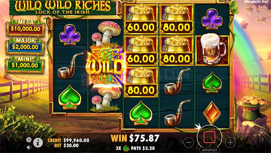 wild wild riches slot