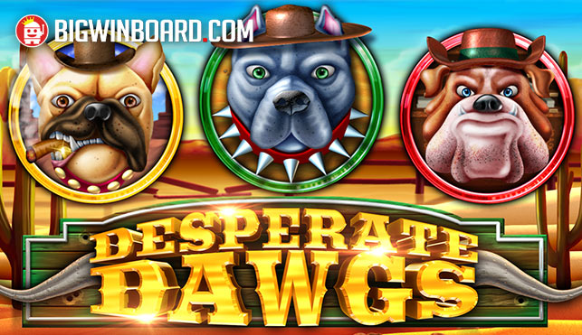 desperate dawgs slot