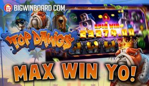 Top Dawg$ Thrashes Its Win Cap On Release Day – Twice!