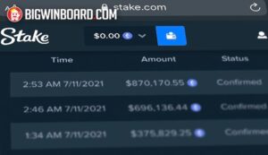 Questions Raised After Player Loses Millions Within Hours On Stake Casino