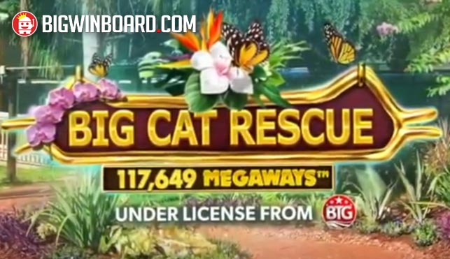 Big Cat Rescue Megaways slot