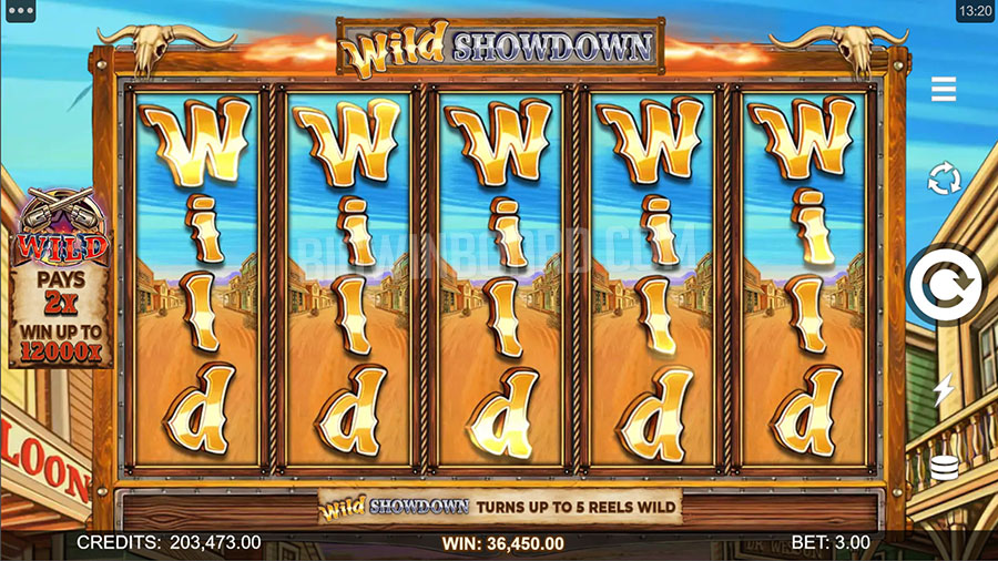 Wild Wild Romance slot