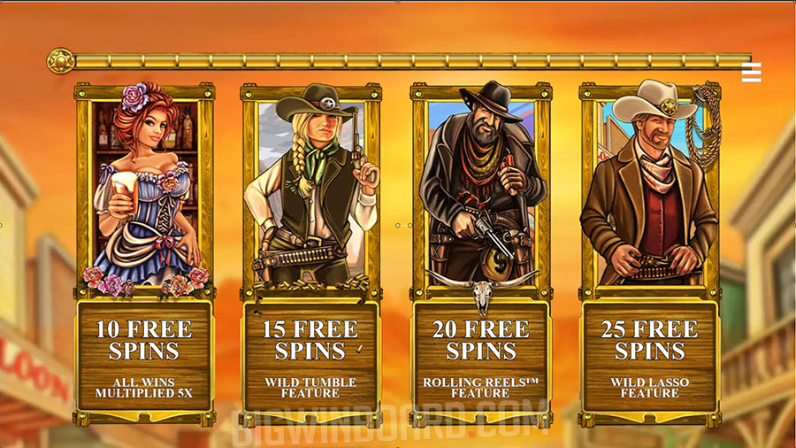 Wild Wild Romance slot