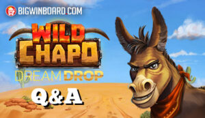The Wild Chapo Dream Drop Q&A