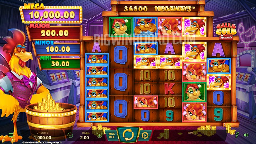 Gallo Gold Bruno's Megaways slot