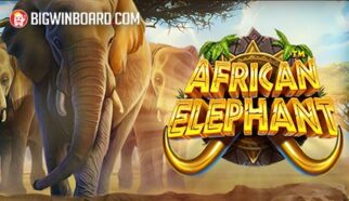 African Elephant slot