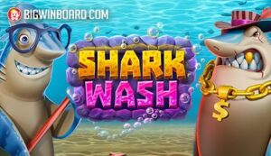 Shark Wash slot