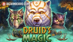 Druid's Magic slot