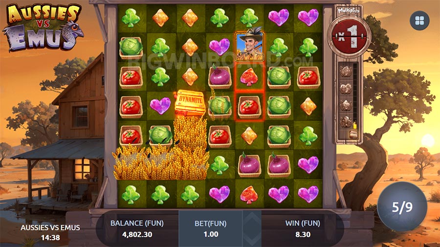 Aussies vs Emus slot