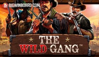 the wild gang slot