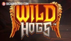 wild hogs slot