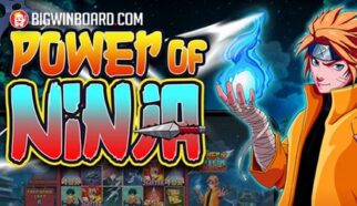 power of ninja slot