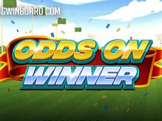 Odds on Winner slot