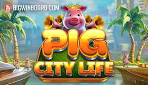 Pig City Life