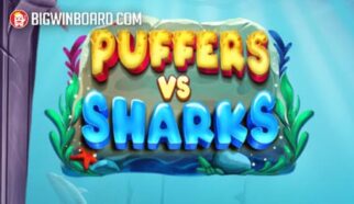 Puffers Vs Sharks slot