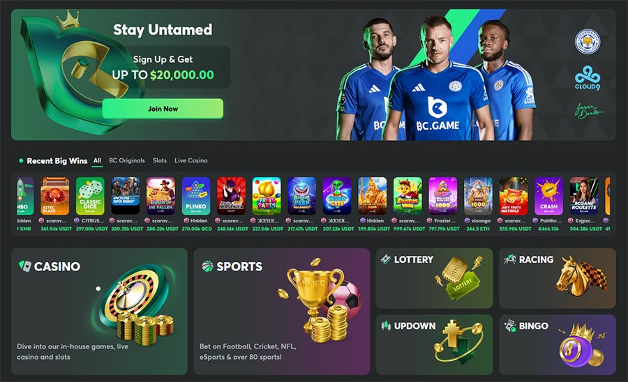 bc game casino
