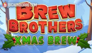 Brew Brothers Xmas Brew