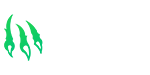 “wild.io”