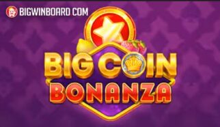 Big Coin Bonanza slot