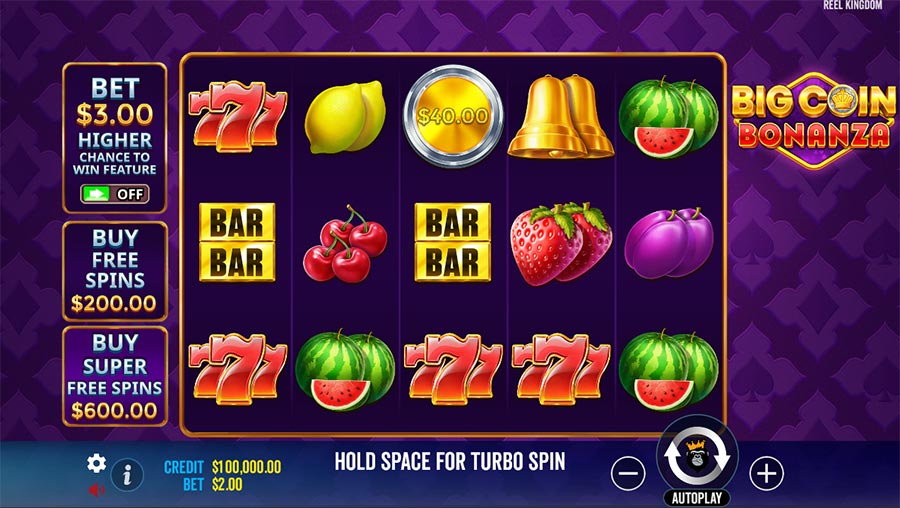 Big Coin Bonanza slot