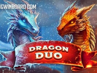 Dragon Duo slot
