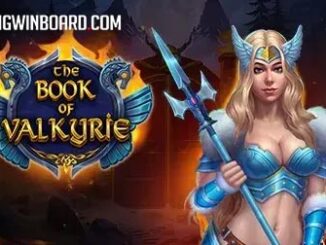 Book Of Valkyrie slot