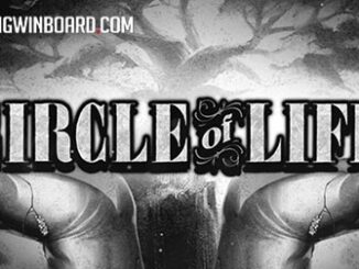 Circle of Life slot