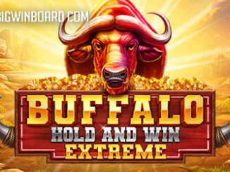 Buffalo Hold and Win Extreme slot