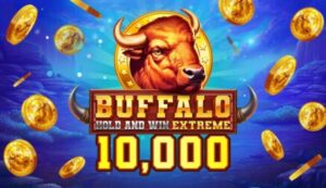 Buffalo Hold and Win Extreme 10,000
