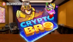 Crypto Bro