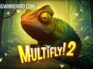 MultiFly 2 slot