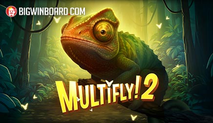 MultiFly 2 slot
