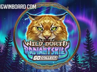 Wild North Radiant Skies slot