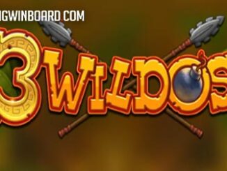 3 wildos slot