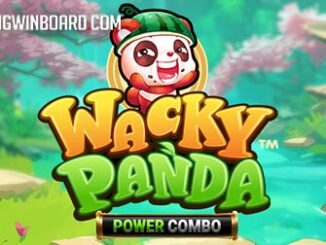 Wacky Panda Power Combo slot