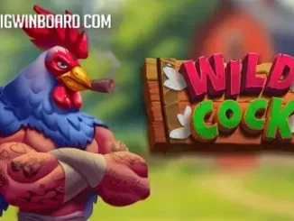 Wild Cock slot